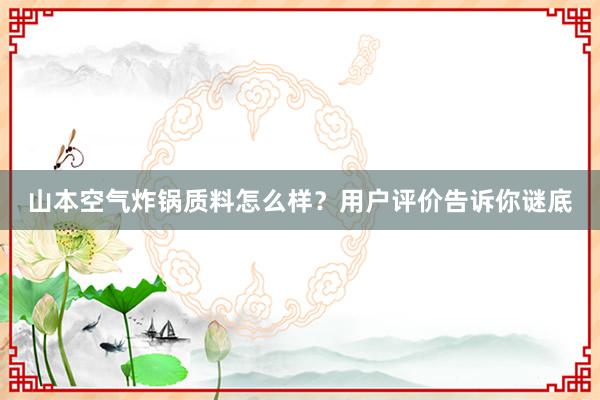 山本空气炸锅质料怎么样？用户评价告诉你谜底