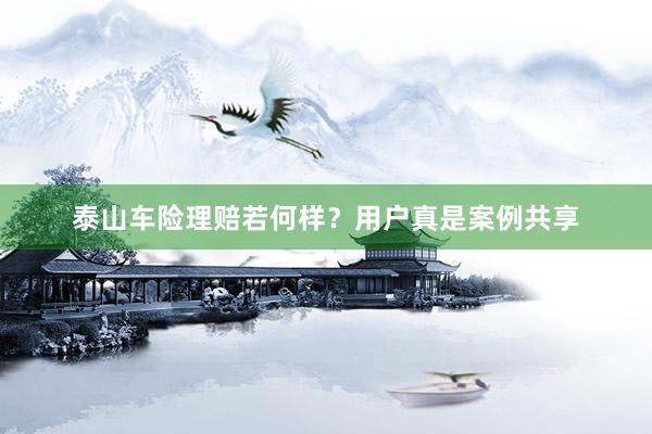 泰山车险理赔若何样？用户真是案例共享